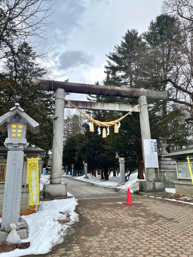 【北海道 帯広】シマエナガの御朱印とおみくじがかわいい⛩️帯廣神社
