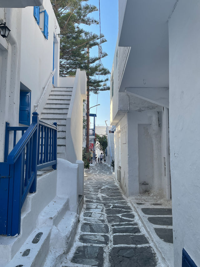 지상낙원은 그리스 미코노스에 있었다 💙