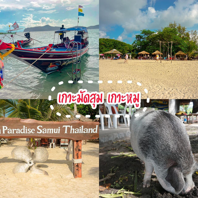 One Day Trip เที่ยวเกาะสมุย