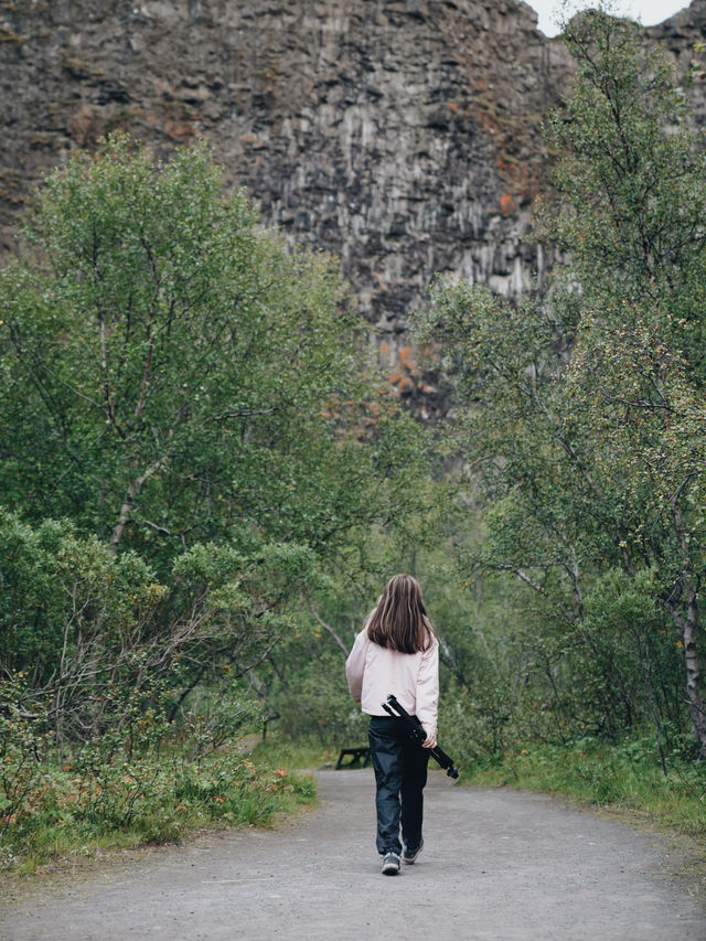 🇮🇸冰島北部 Ásbyrgi 馬蹄峽谷：壯觀景色，徒步小徑，適合夏季遊覽！