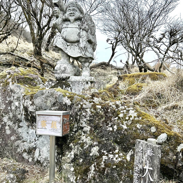 【別府】鶴見岳にある別府ロープウェイからの桜