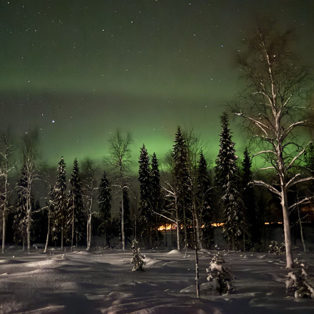 Celestial light dancing in the night!