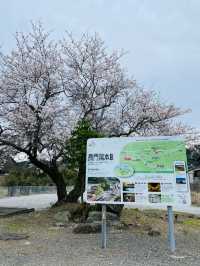 【山口県】現在は運休中のレトロな駅舎がかわいい「長門湯本駅」