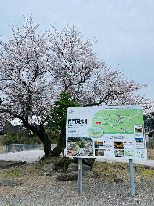 【山口県】現在は運休中のレトロな駅舎がかわいい「長門湯本駅」