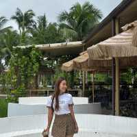 ยุ้งฉางคาเฟ่ คาเฟ่ทุ่งดอกปอเทืองกลางเมืองจันทบุรี