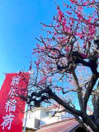 【藤原稲荷神社/東京都】紅白の梅の木が見守る