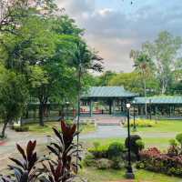 【林口公園】傳統園林😌自然景緻