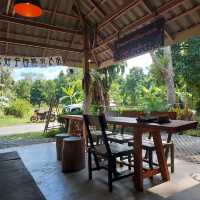 ร้านบ้านชาในป่าฝน Tea House in Rainforest