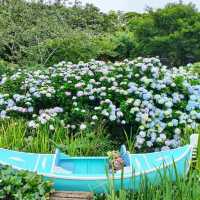花與樹繡球花園