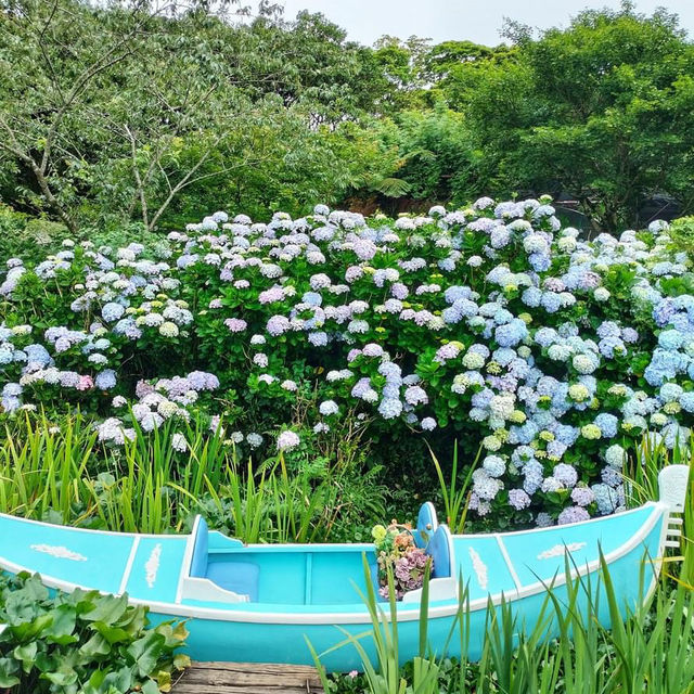 花與樹繡球花園