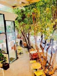 Best Coffee Shop In Vietnam🇻🇳✨