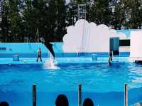 Niigata City Aquarium Marinepia Nihonkai (Sea of Japan) 新潟市水族館 マリンピア日本海