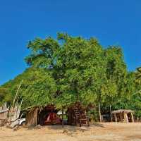 🏝Baankohteab สถานที่พักผ่อนริมทะเลที่น่าหลงใหล