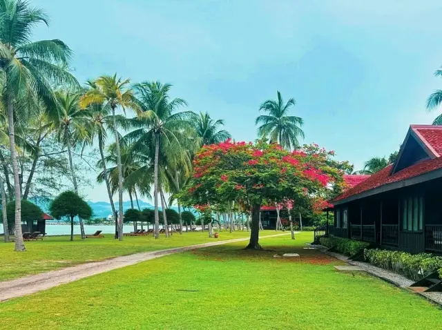 ✨ Stay at Pelangi Beach & Spa