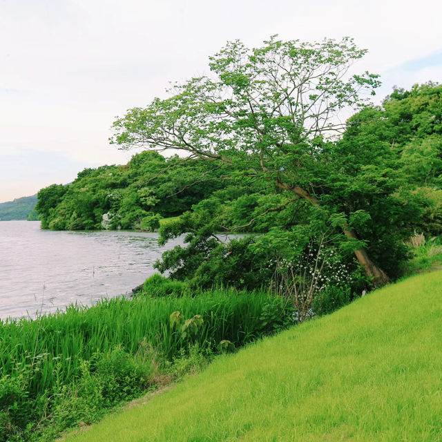 烏山頭水庫親水公園～寧靜祥和