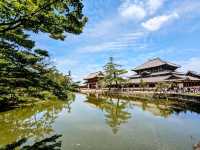 日本奈良-參拜世界遺產的青銅巨佛：東大寺
