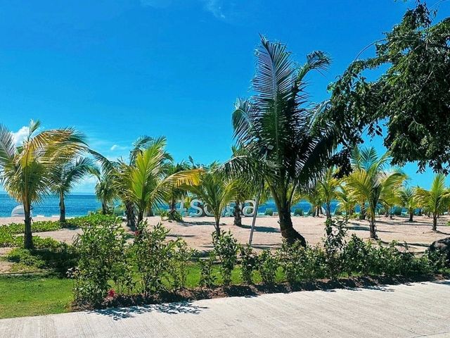 🏖️ Fun Day at Solea Mactan