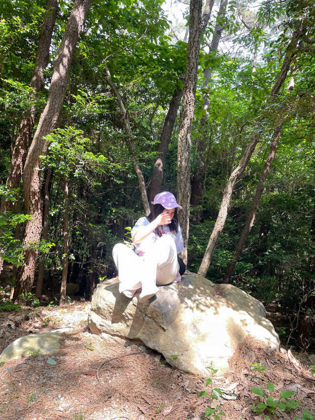 พาไปเดินป่าปูซาน | เส้นทางธรรมชาติบนภูเขาจางซาน⛰️