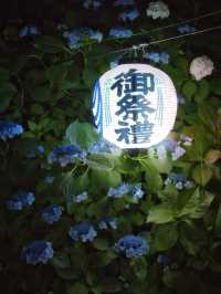 【栃木】本当は教えたくない🙅優美な空気に酔いしれる🥰エモい紫陽花スポット✨