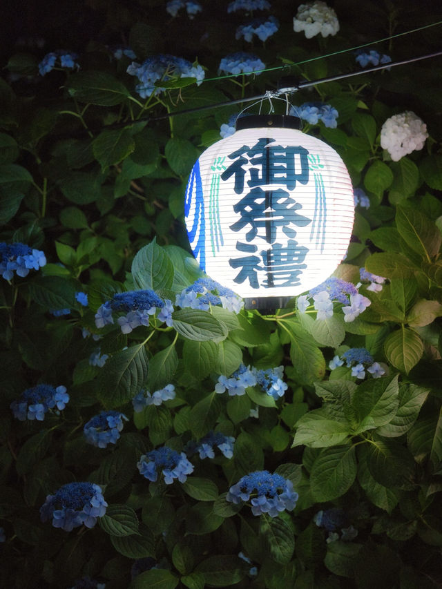 【栃木】本当は教えたくない🙅優美な空気に酔いしれる🥰エモい紫陽花スポット✨