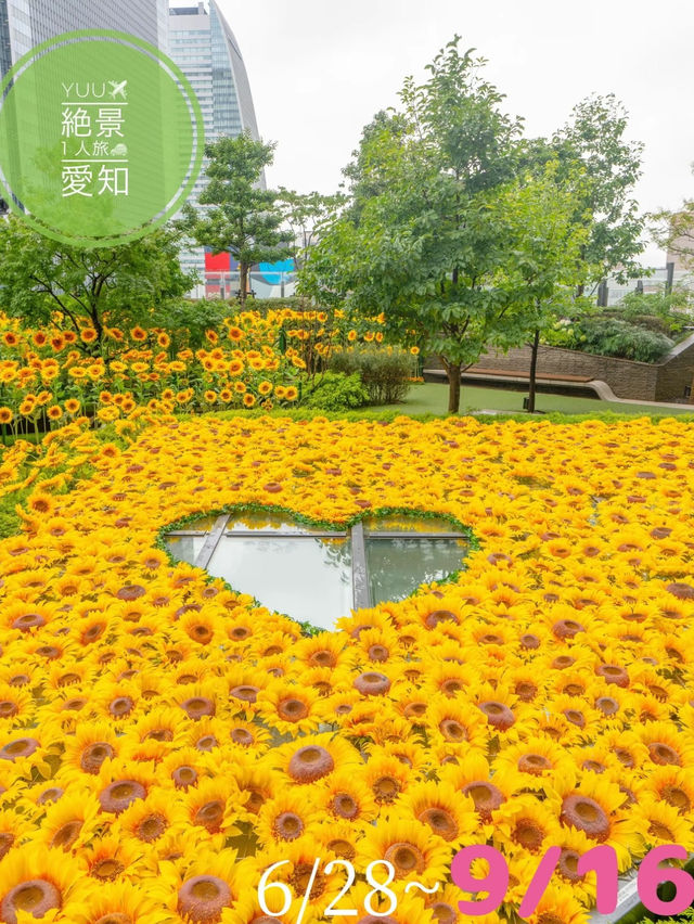 最速攻略🌻決して枯れないひまわり畑がパワーアップして帰ってきた😊去年の🌻2倍！！♡を探せ✨