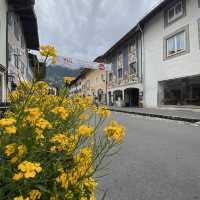 The alpines of Mittenwald