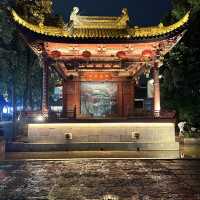 Stunning night lights at Tongli ancient town ✨