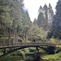 Alishan Taiwan
