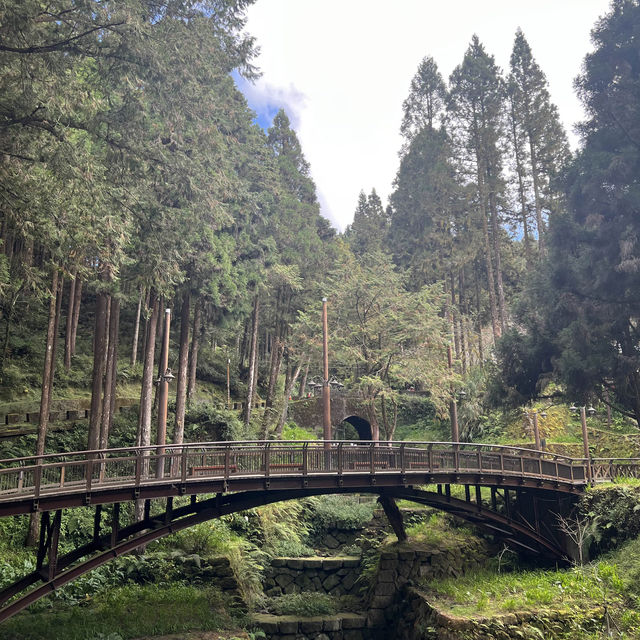 Alishan Taiwan