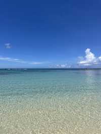奄美大島　自然のトンネルの先にある絶景🏝️