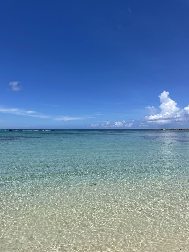 奄美大島　自然のトンネルの先にある絶景🏝️