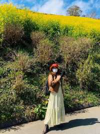 Mother Farm 