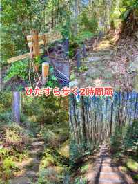 【三重 紀北町】便石山（象の背）の絶景ハイキング🐘