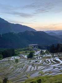 【三重 熊野市】三重の絶景スポット🌿丸山千枚田🌿