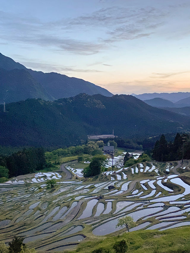【三重 熊野市】三重の絶景スポット🌿丸山千枚田🌿