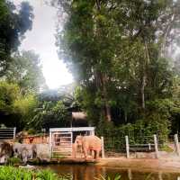 Singapore zoo