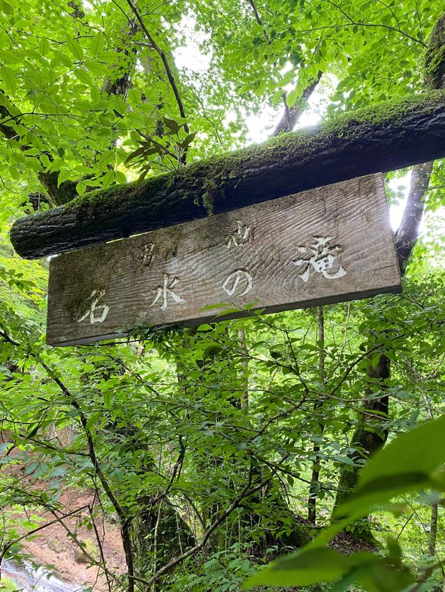 【大分/由布】暑い夏に訪れたい！涼しみスポット！