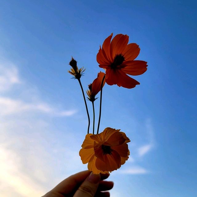 구례에 가신다면