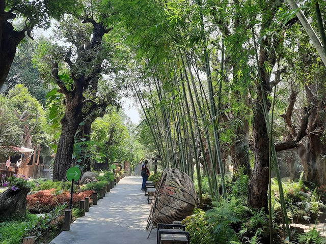 📍แดนเทวดา Dantewada Land of Angels Waterfall Park