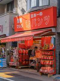 「巢鴨商店街：老奶奶的原宿，隱世寶藏商業街！」