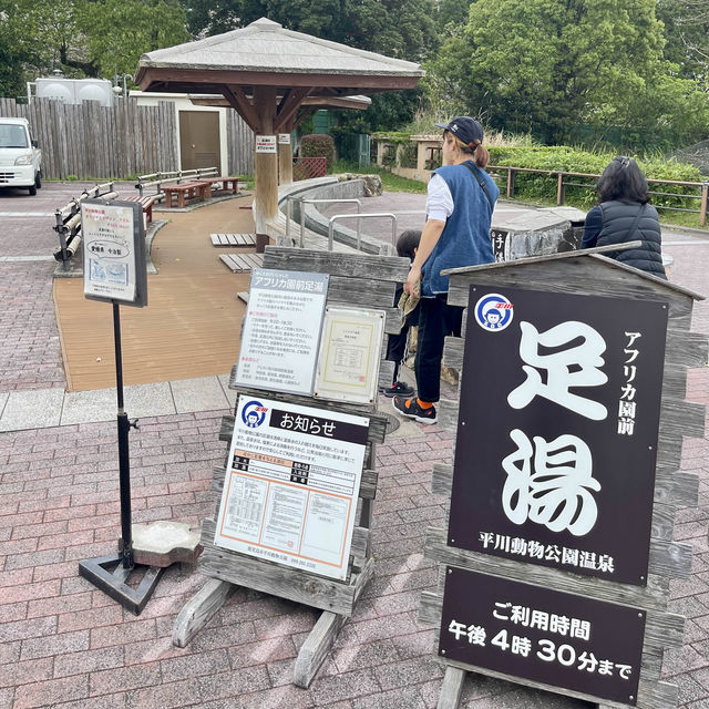 平川動物園-温泉、美景、可愛的動物，三者兼得