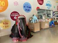Elephant Parade Land เชียงใหม่