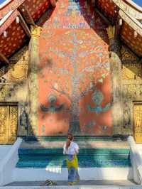 【🇱🇦ラオス】世界遺産の街、ルアンパバーンで1番光り輝く場所❣️ワットシェントーン🌟