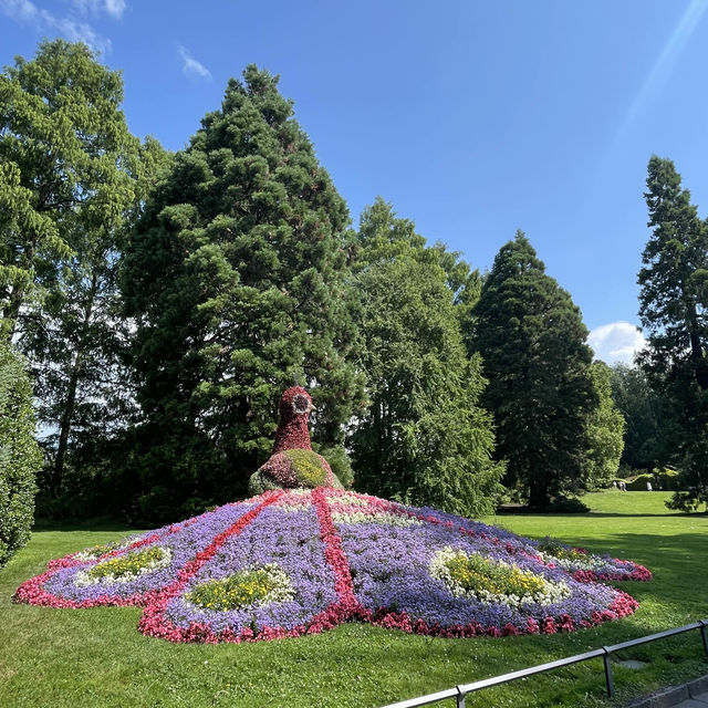 島全体がお花畑💐