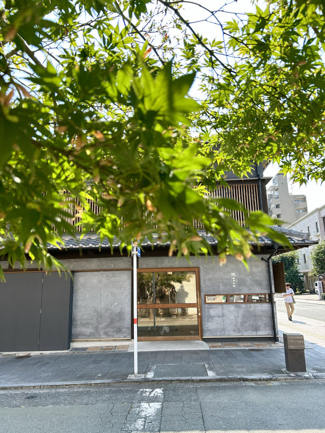 【熊本カフェ】熊本旅行で必ず立ち寄るカフェ☕️