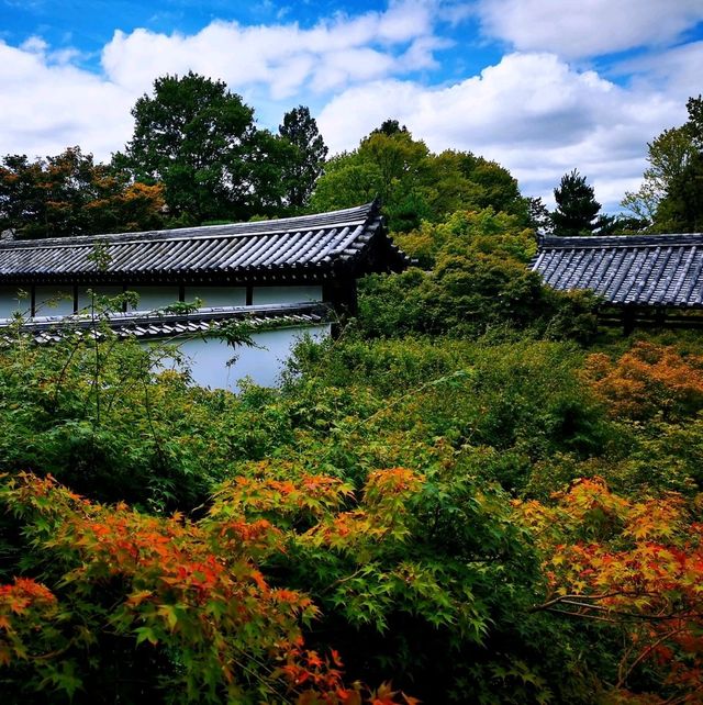 東福寺