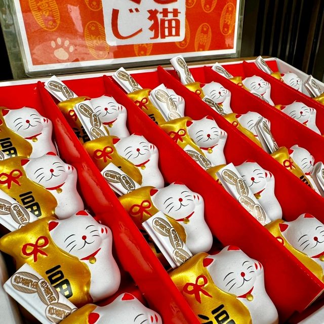 佐賀景點｜據說有神明居住的3000年大楠樹—佐賀武雄神社