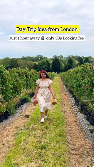 Day trip idea from London, so cute and sweet🍓💕😍