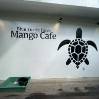 【宮古島】南国風の超おしゃれカフェ☕️🌺🌴