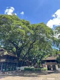📍ดาราเทวี คาเฟ่ โรงแรมในตำนานของชาวเชียงใหม่